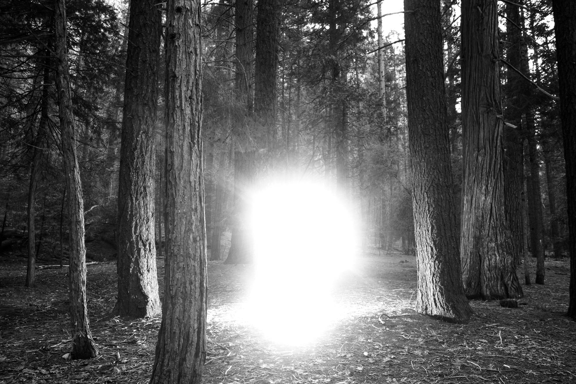 Rebirth (2018) – spectral figure dissolving into light.