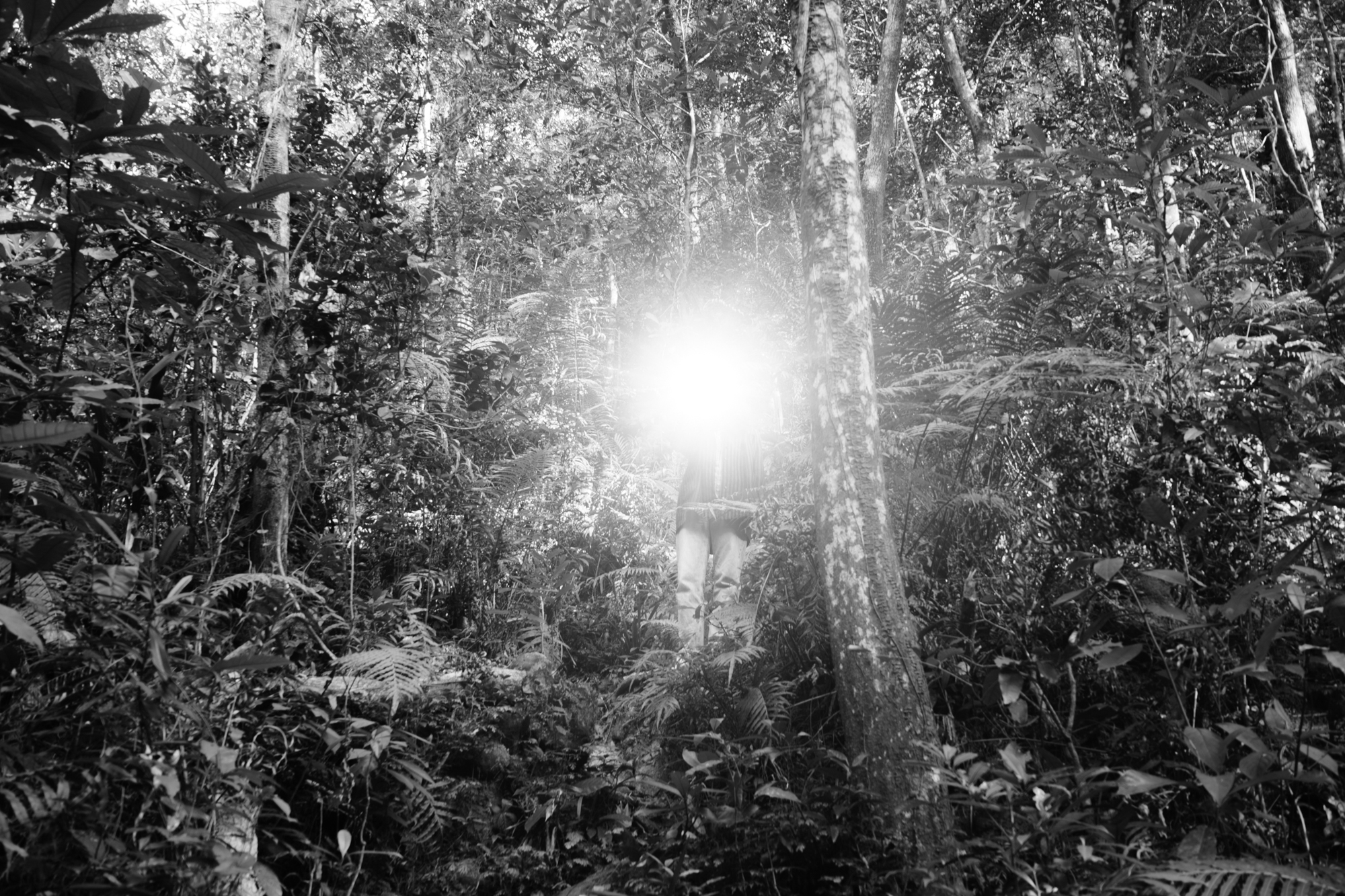 The Sun (2020) – radial flare eclipsing the subject.