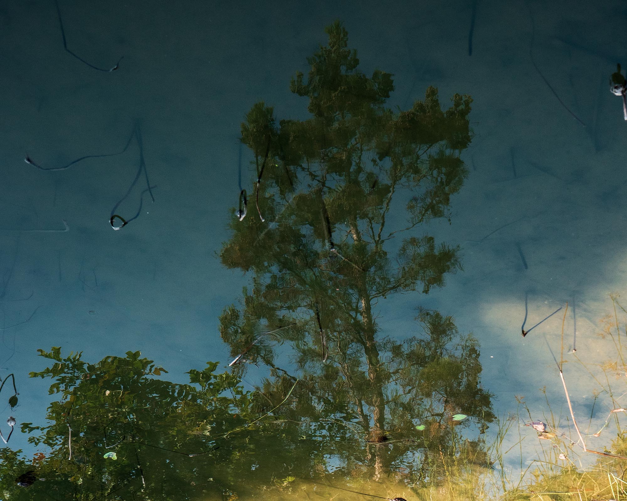 Inner Landscape — Imagine II