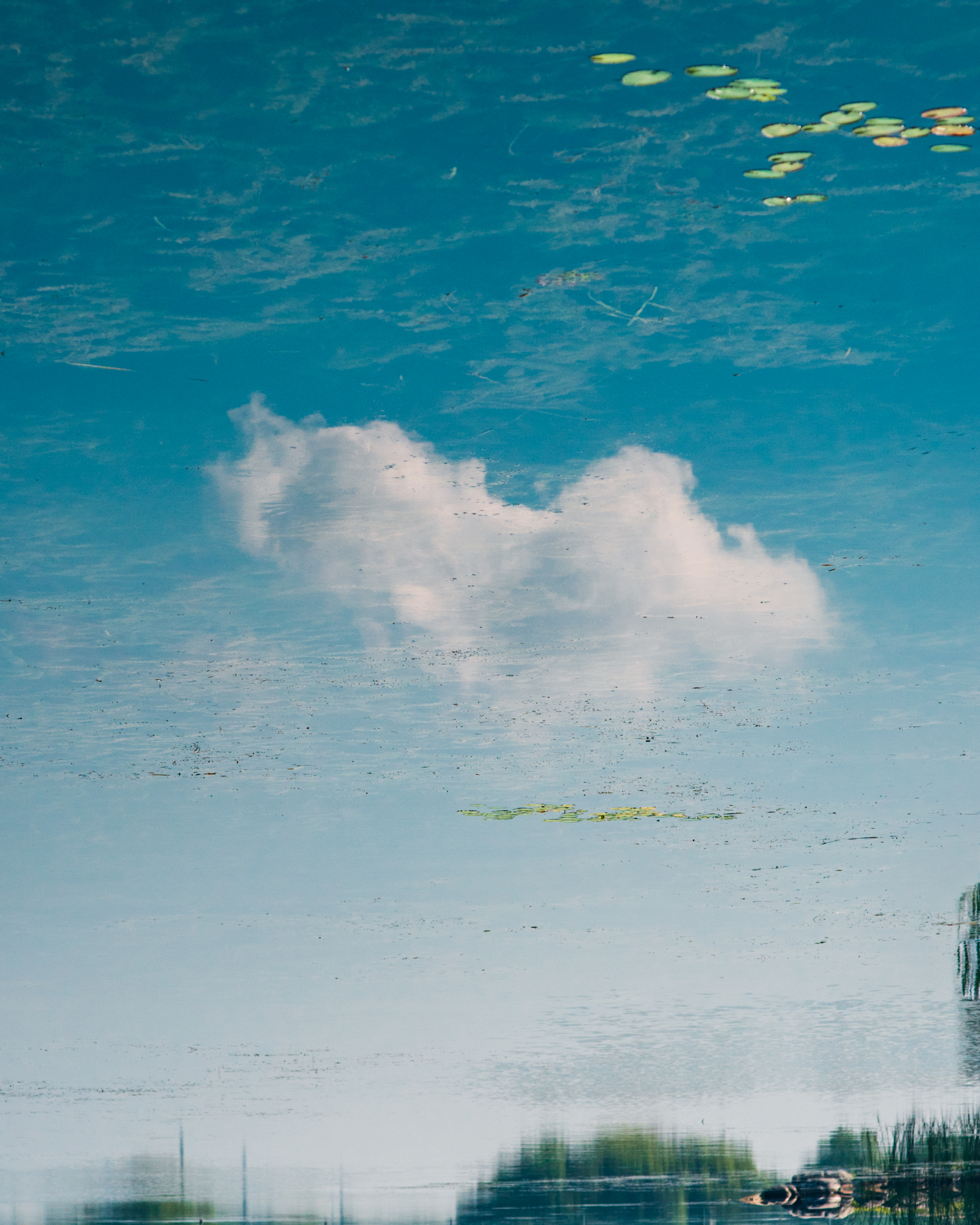 Inner Landscape — Imagine III